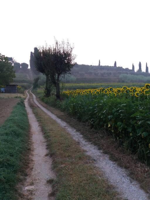 Podere Gian Battaglia Fucecchio Exteriér fotografie