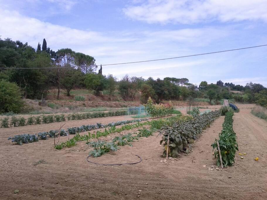 Podere Gian Battaglia Fucecchio Exteriér fotografie