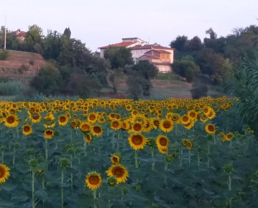 Podere Gian Battaglia Fucecchio Exteriér fotografie