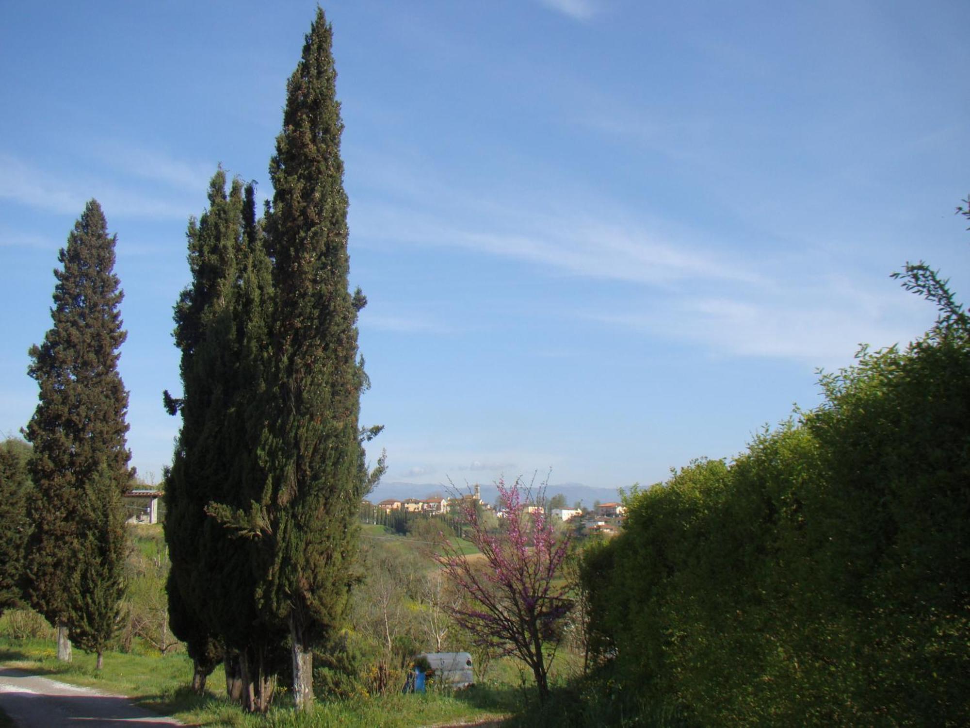 Podere Gian Battaglia Fucecchio Exteriér fotografie