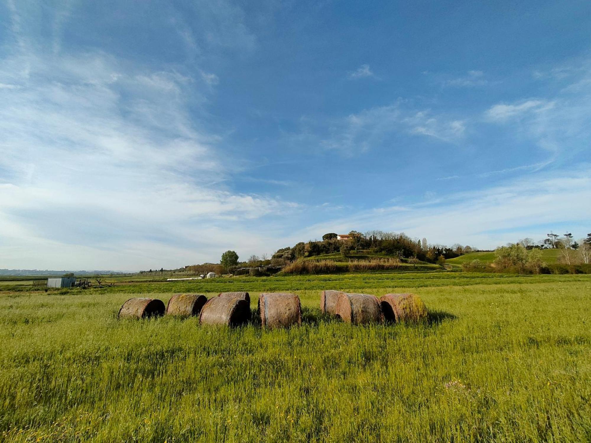 Podere Gian Battaglia Fucecchio Exteriér fotografie