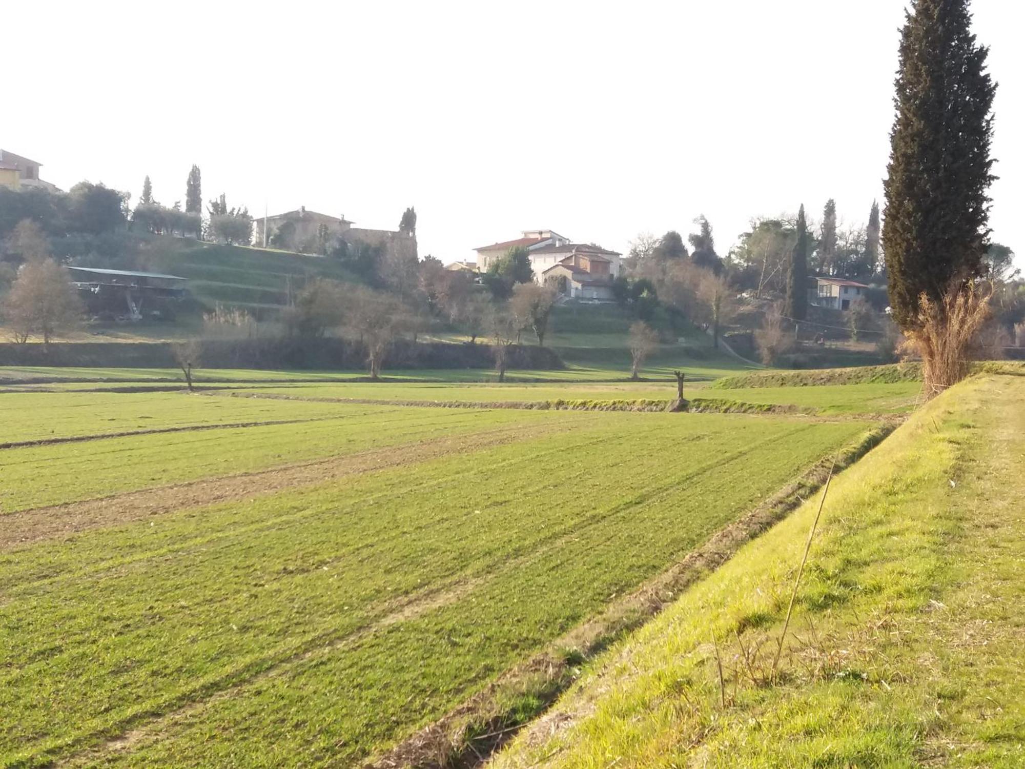 Podere Gian Battaglia Fucecchio Exteriér fotografie